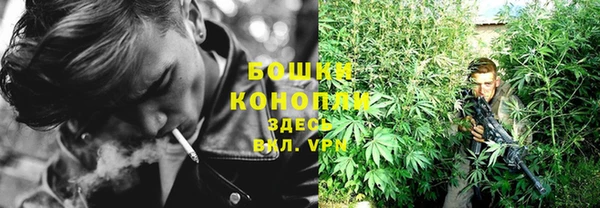 гидра Нязепетровск