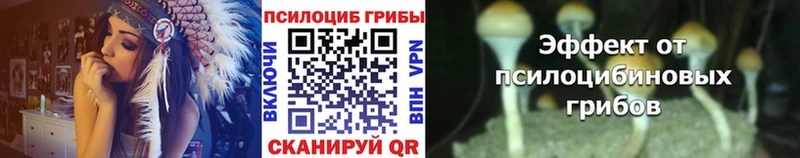 Галлюциногенные грибы Cubensis  Тбилисская 